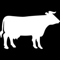 Asignación 550 kg Carne de vaca viva Matadero Productos Productos