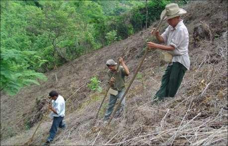 Problemas de manejo de suelos Sistemas de producción degradantes en laderas y áreas planas Débil