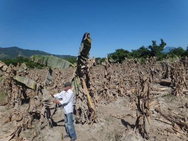 Vulnerabilidad en Centroamérica Los suelos de la región están expuestos a eventos extremos Huracanes cada 25-30 años en los últimos