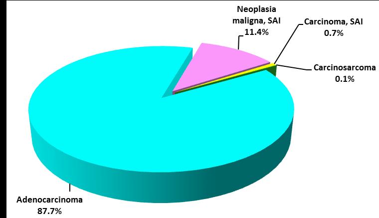 CÁNCER DE PRÓSTATA De los 970 casos diagnosticados de cáncer de próstata durante el periodo de estudio; el 87.5% (851 casos) fueron adenocarcinoma, el 11.4% (111 casos) son neoplasias malignas, el 0.