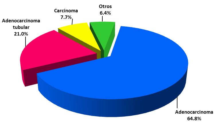 CÁNCER DE COLÓN RECTAL De los 751 casos diagnosticados de cáncer de colon rectal durante el periodo de estudio; el 64,8% (487 casos) fueron adenocarcinoma, el 21,0% (158 casos) son diagnosticados