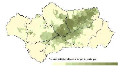 DATOS BÁSICOS DEL OLIVAR ANDALUZ 1 er CULTIVO DE ANDALUCÍA Superficie de olivar: supera el millón y medio de hectáreas. Huelva 32.921 ha Superficie provincial (hectáreas) Córdoba 347.