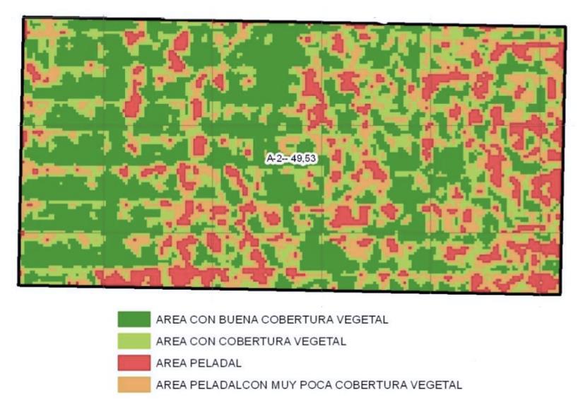 Índice de vegetación en una parcela de soja A2, Chaco Central.