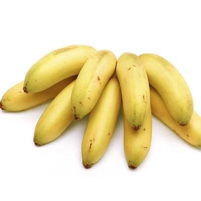 La Baby Banana es pequeña, de cascara más delgada con las mismas características del