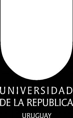 Universidad de la