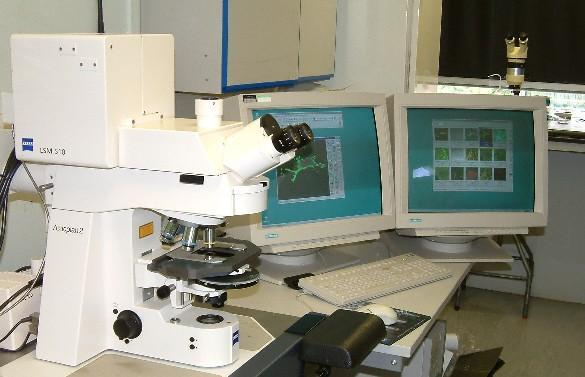 Microscopio Confocal Utiliza iluminación láser y permite ver material grueso como secciones o