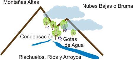 2. DISPOSICIÓN PERIFÉRICA (este-oeste) o Los sistemas montañosos paralelos a la costa frenan la influencia del mar, que solo penetra con claridad por el valle del Guadalquivir.