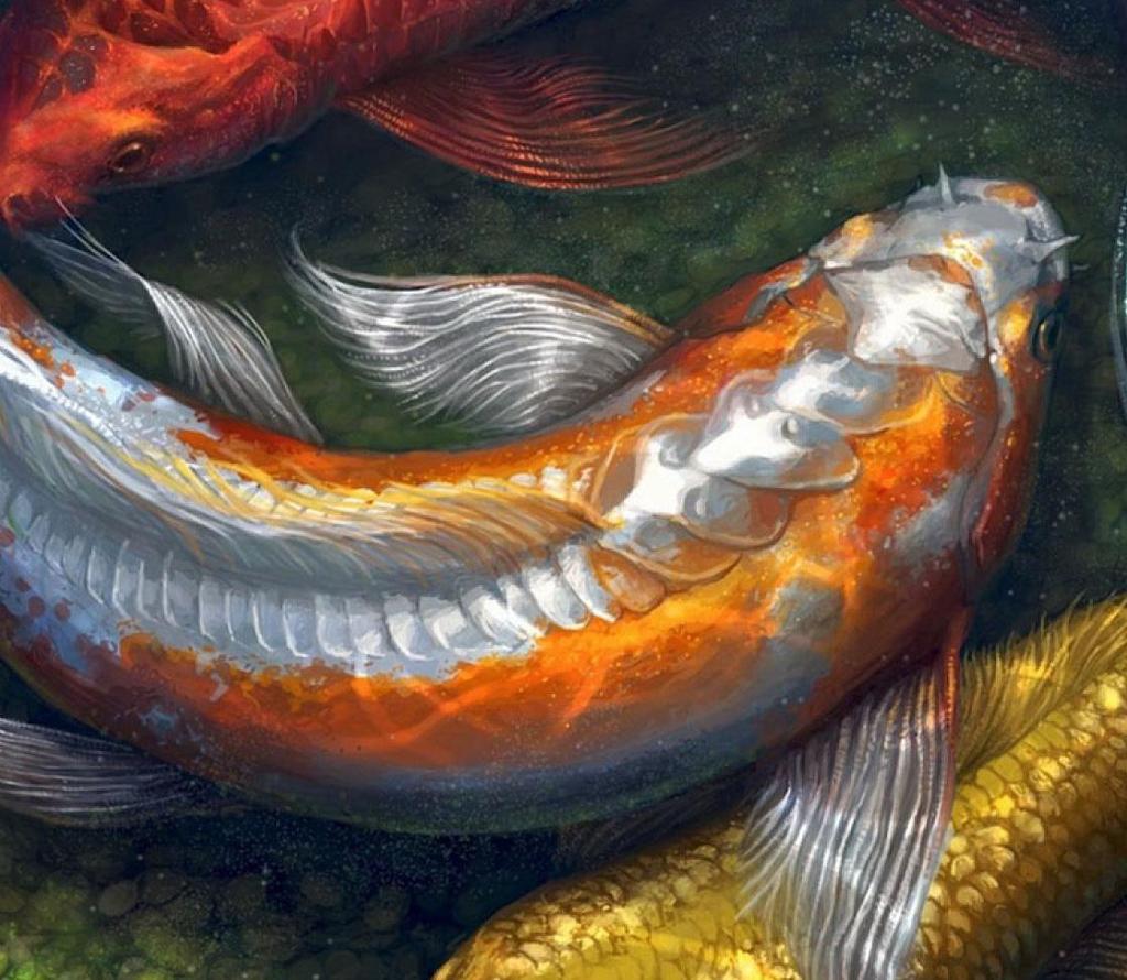 Se dice que los peces asiáticos "Carpa Koi" nadaban río arriba, hasta las cascadas, y las subían, representando valores con los que en Ozu nos identiﬁcamos: perseverancia ante la adversidad,
