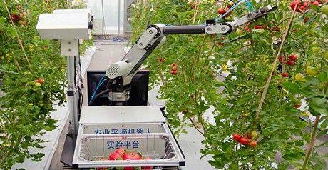 Robots en el Agro Robot chino