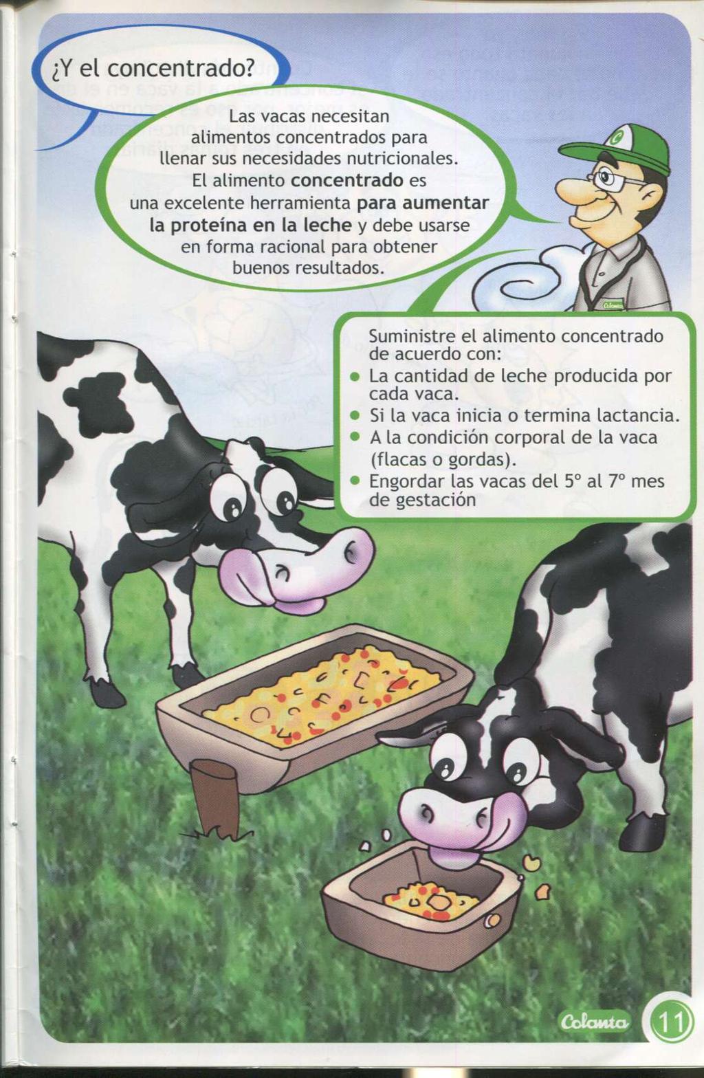 Y el concentrado? Las vacas necesit an aliment os concent rados para llenar sus necesidades nut ricionales.