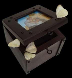 Caja de los sueños Edición Plata Retrato Las Caja de los sueños es ideal si quieres que las mariposas sean más que un hermoso