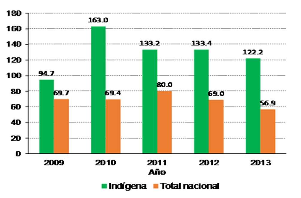 2009-2013 (por cien mil nacidos vivos) En Colombia la mortalidad materna indígena es de 3 a 6 veces la