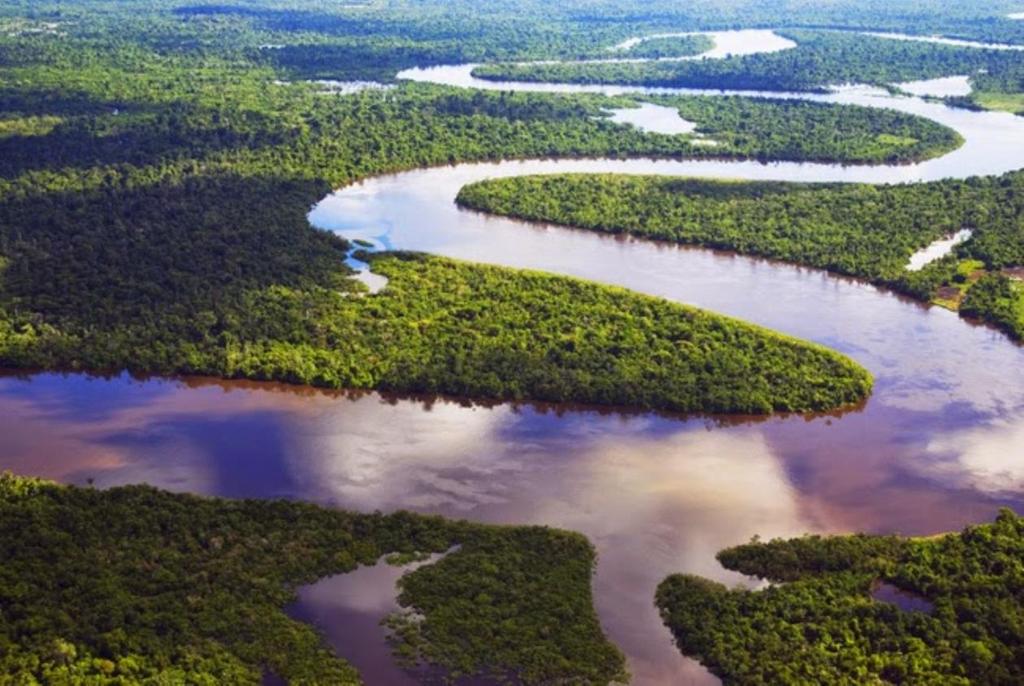 La Región Amazónica La Amazonía es un organismo integral, compartido por ocho países y una provincia francesa en América del Sur, que beneficia a todos los habitantes del planeta.