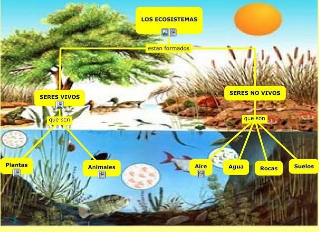 1.- Qué es un ecosistema?