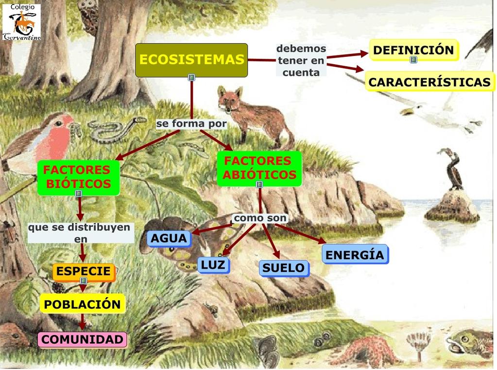 1.1 Componentes del ecosistema Biotopo.- Son los componentes sin vida del ecosistema. (Factores abióticos) Biocenosis o comunidad.- Son los seres vivos que habitan en el ecosistema.