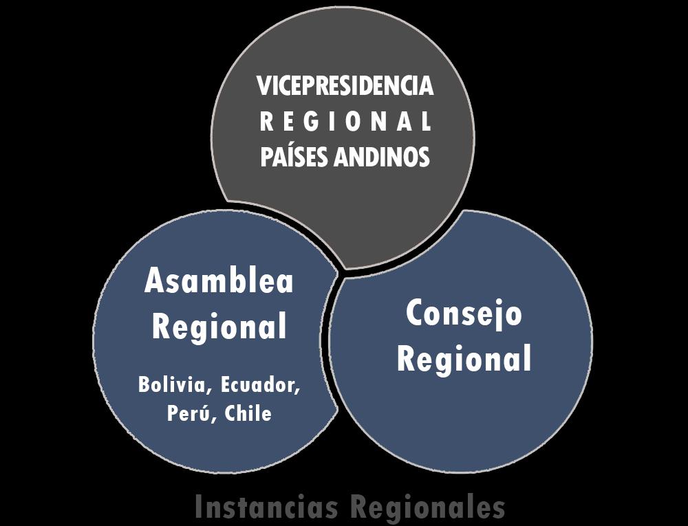 Ámbito Regional Las instancias regionales incluyen los miembros de cada Región, los Consejeros de la misma, el