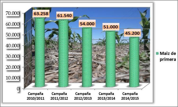 200 hectáreas para esta campaña 2014/2015, acreditando una caída del 11,37 % en la superficie de siembra con respecto a la campaña 2013/2014 que fue de 51.000 hectáreas.