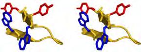 Determination of Structural Changes in LytA239-252 peptide by Photo-CIDNP NMR Spectroscopy J. M. MATEO 1, M. MOMPEÁN 1, P. NITSCHKE 2, R. M. GSCHWIND 2, M. A. JIMÉNEZ 3, M. V.