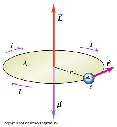 Electrón girando en torno a un núcleo Momento magnético m