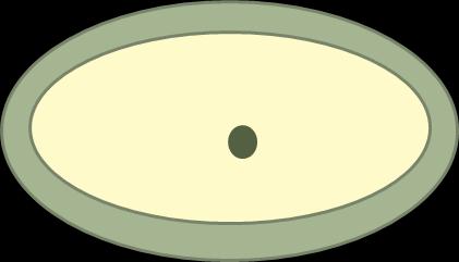 Reacción Acrosómica: fusión entre la membrana plasmática del ovocito secundario y la membrana externa del acrosoma ( V ) - En todos los organismos, la activación del huevo ocurre con la entrada del