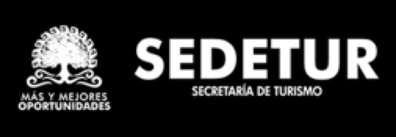 Fondo Sectorial Conacyt-Sectur: participación en la elaboración de la demanda denominada Sargazo