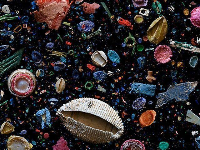 animais, mesmo por seres microscópicos como o plancto, contaminando a cadea alimentaria da que dependemos. Que se fai cos tapóns? Os motivos do valor dos tapóns de plástico son varios.