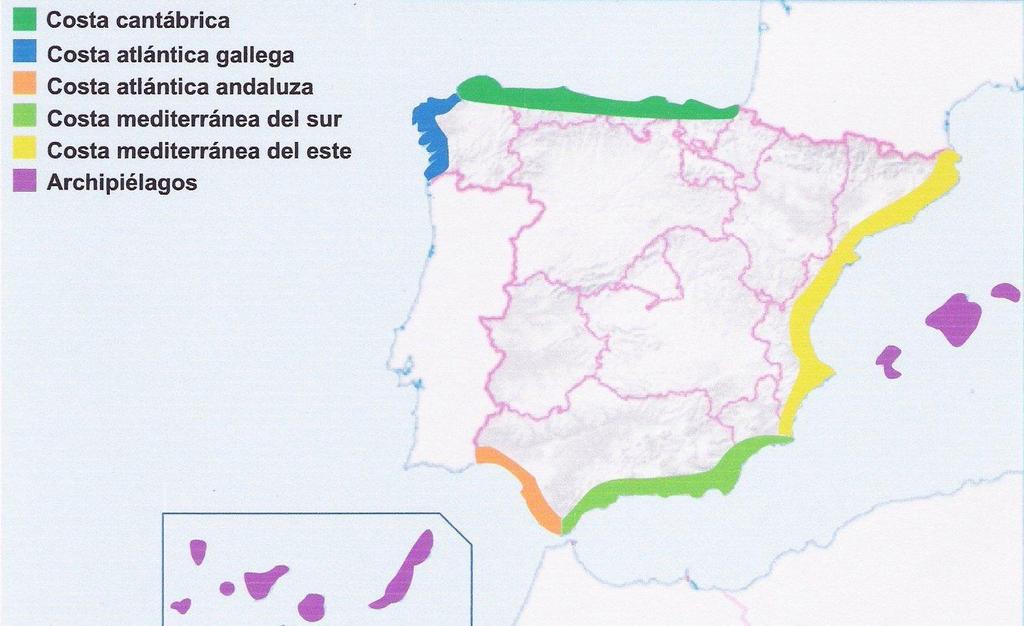 Los accidentes más destacados son: el cabo Ortegal, Fisterra y las rías de El Ferrol, Muros, Arosa, Pontevedra y Vigo.