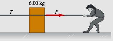sobre una polea ligera sin fricción, como se muestra en la figura.