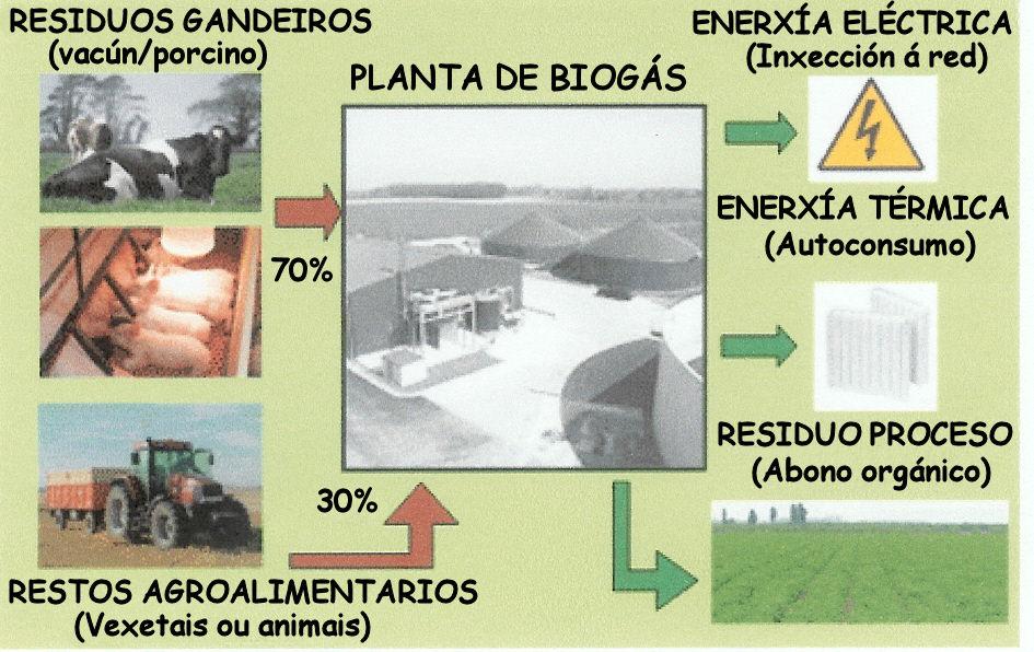 .. Tras a inversión de 14 millones de euros unha planta de Murcia será capaz de tratar 100000 toneladas de puríns ao ano, producir a enerxía