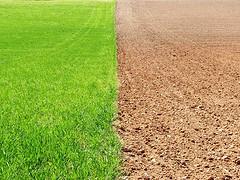 - Controlar e reducir o consumo de fertilizantes e produtos fitosanitarios.