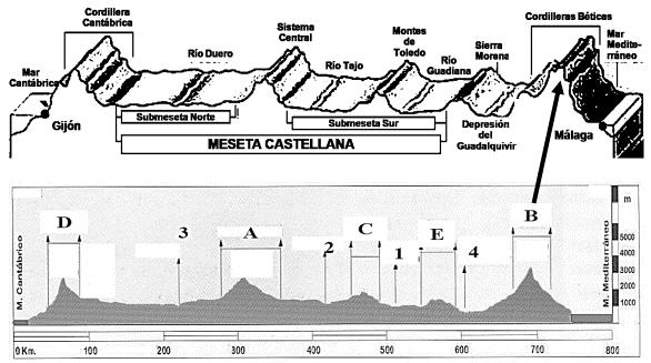 Tema 1 El espacio geográfico español. El relieve peninsular. 8 Ejercicio a. Observa ambos perfiles topográficos de la Meseta y relaciónalos mediante flechas. Fíjate en el ejemplo de la letra B.