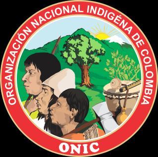Consejería de Derechos de los Pueblos Indígenas, DDHH, DIH y Paz Organización Nacional Indígena de Colombia () Asunto Rad.
