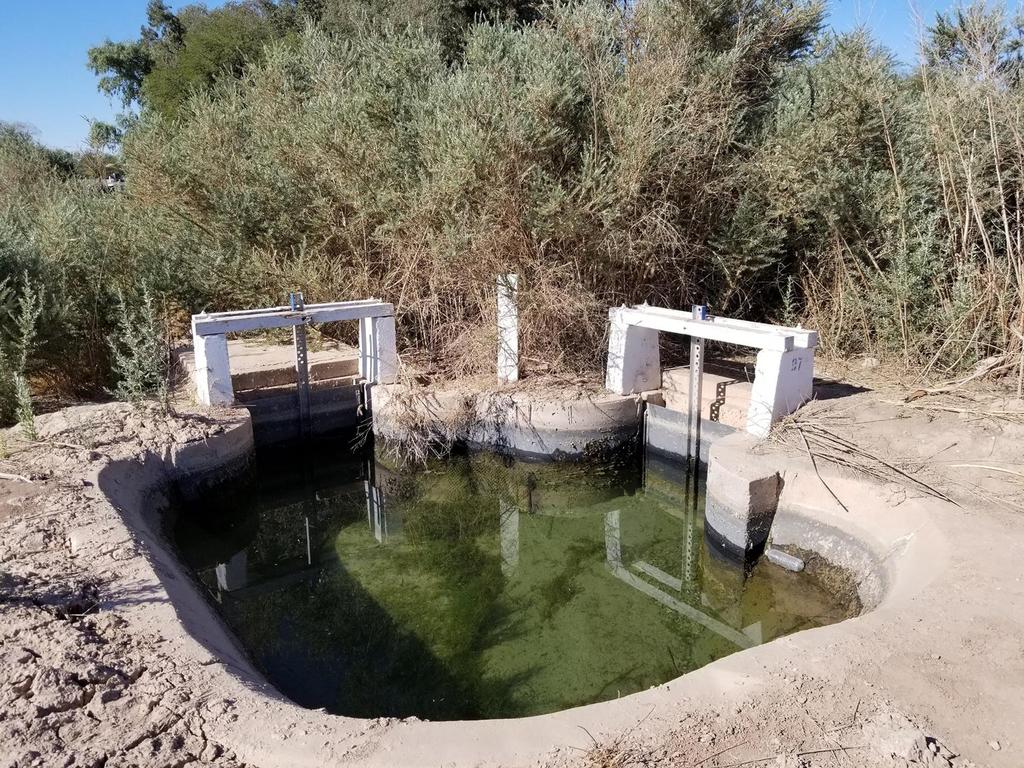 Agua del canal y la salud en Valle Imperial