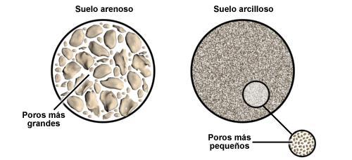 Por consecuencia de la textura y estructura del suelo se determina su porosidad, es decir su sistema de vacíos o huecos existentes en el mismo.