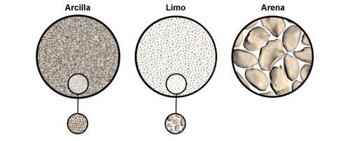 Fase sólida del suelo (partícula s minerales y orgánicas) La clasificación mineral de un