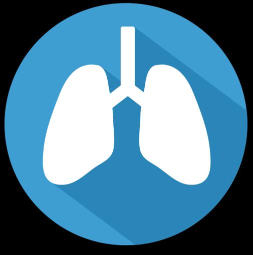 Enfermedad Respiratoria Crónica El neumococo es uno de los patógenos más frecuentemente identificados en las exacerbaciones agudas de la EPOC.