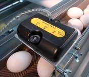 clasi cadoras de huevos Transportadores de huevos Características: