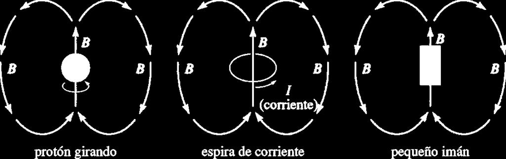 RESONANCIA MAGNÉTICA NUCLEAR Un protón girando, genera un campo magnético (B), conocido como
