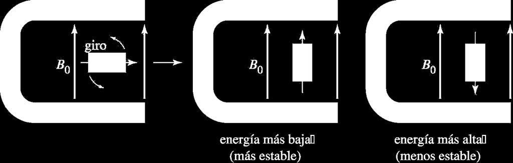 El espín nuclear genera un pequeño campo magnético denominado momento magnético.