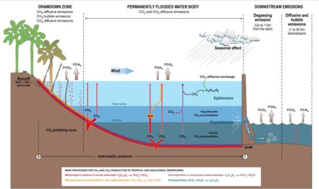 Tropical Reservoirs and Greenhouse Gas Emissions EPM: El impacto de las