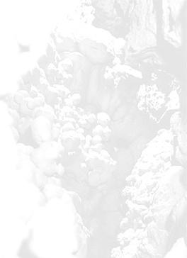 14 BIBLIOGRAFÍA Catálogo de Cavidades de la Provincia de Alicante www.cuevasalicante.com PLA SALVADOR, G. ( 1.951-1952) Archivo particular de actividades espeleológicas PLA SALVADOR, G. (1.