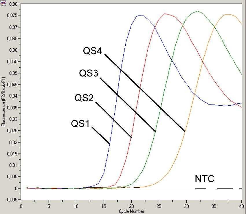 Fig. 8: Detección de los Estándares de cuantificación (EBV LC/RG/TM QS 1-4) en el canal
