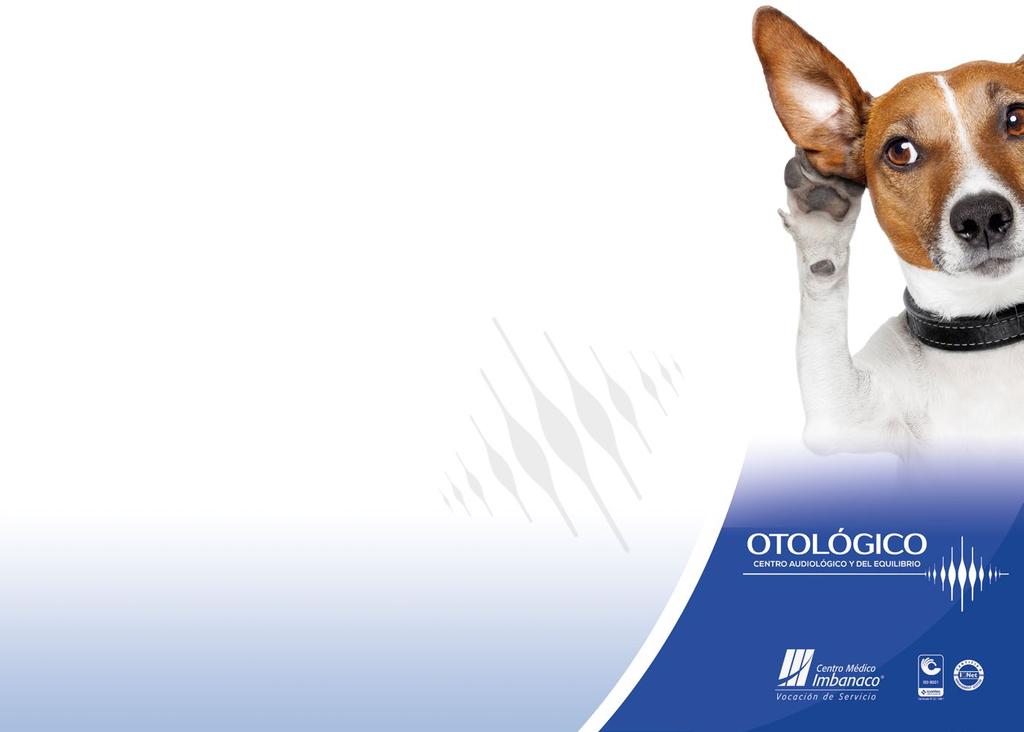 NUESTRA MISIÓN - VISIÓN MISIÓN Contribuir al diagnóstico otológico, mediante la realización de exámenes audiológicos, mejorar la comunicación por medio de la rehabilitación auditiva verbal y
