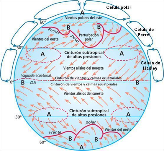 En principio, los vientos deberían circular en superficie desde los polos al ecuador y por las capas altas desde el ecuador a los polos en una célula de convección.