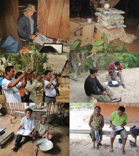 ALCANCES DEL PROYECTO 11 representantes locales Chácobo-Pacahuara capacitados en técnicas etnobotánicas para realizar entrevistas y colectar especímenes botánicos (Septiembre 2013)