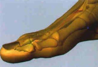 RIÑON 2 RAN GU: Lado interno del pie, parte superior del arco, en la prominencia del tarso, entre