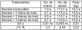 77 En la Tabla 2 se presenta el rendimiento y sus racimos (8,7 manos y 116,6 dedos). El rendimiento alcanzó valores muy parecidos entre los estimadores.