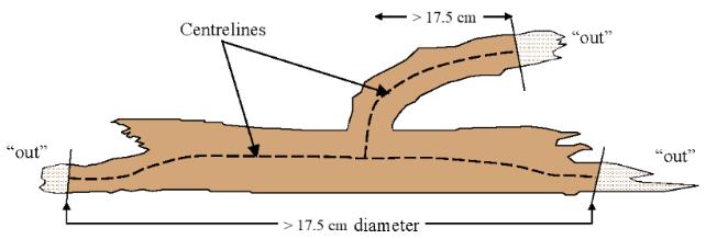 Derecha: medida de madera muerta dónde el eje central de la pieza coincide casi con el transecto.