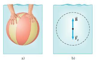 Fuerzas de flotación y principio de Arquímedes Alguna vez ha intentado empujar una pelota de playa hacia abajo del agua (figura 14.7a)?