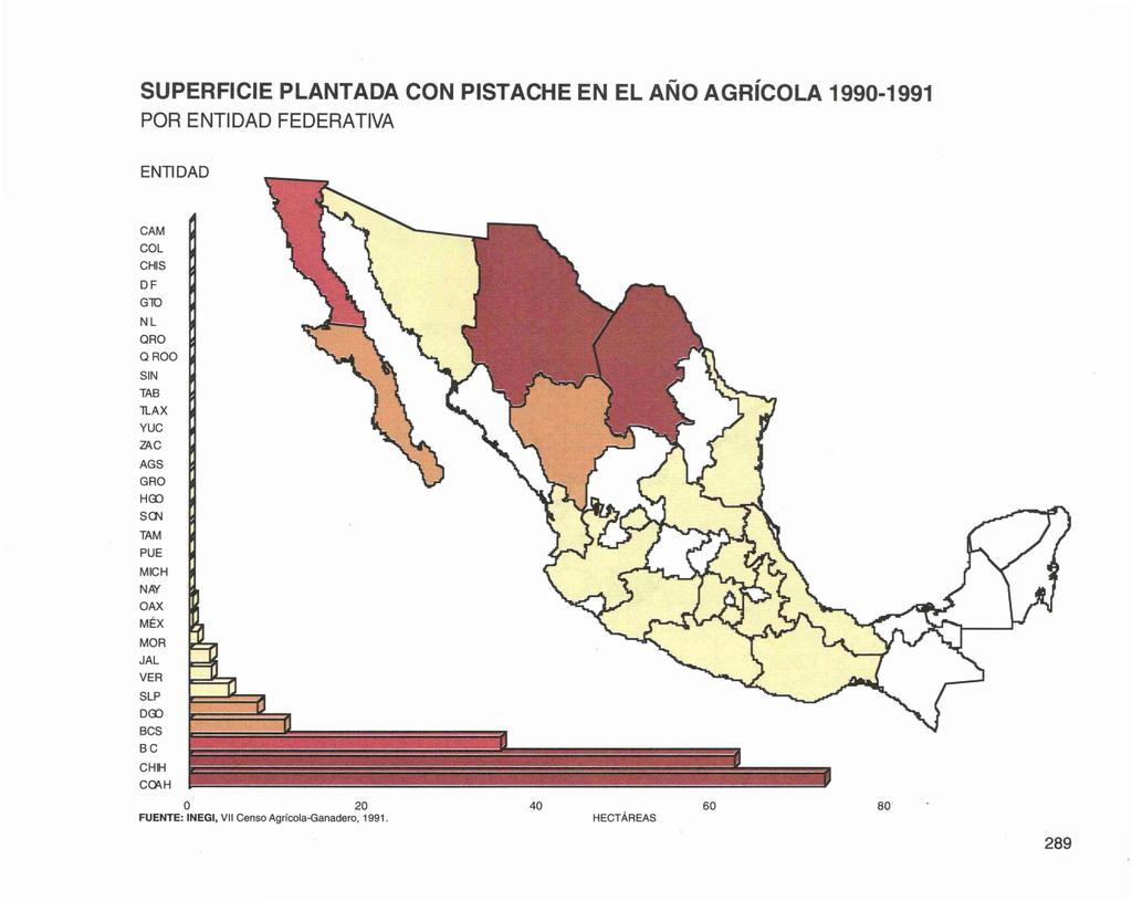 SUPERFICIE PLANTADA CON PISTACHE EN EL AÑO AGRÍCOLA 1990-1991 POR ENTIDAD
